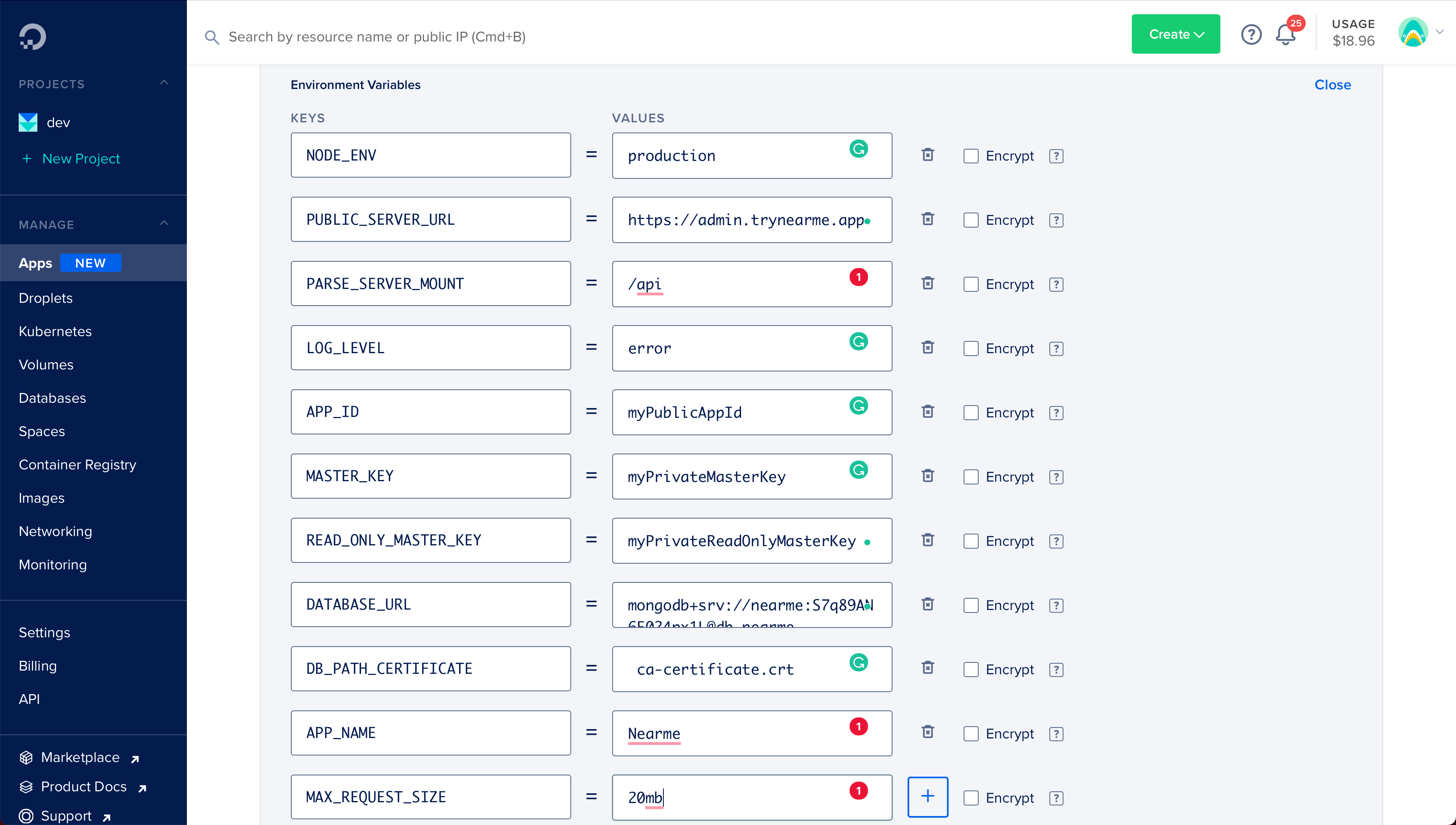 App Platform - Environment variables