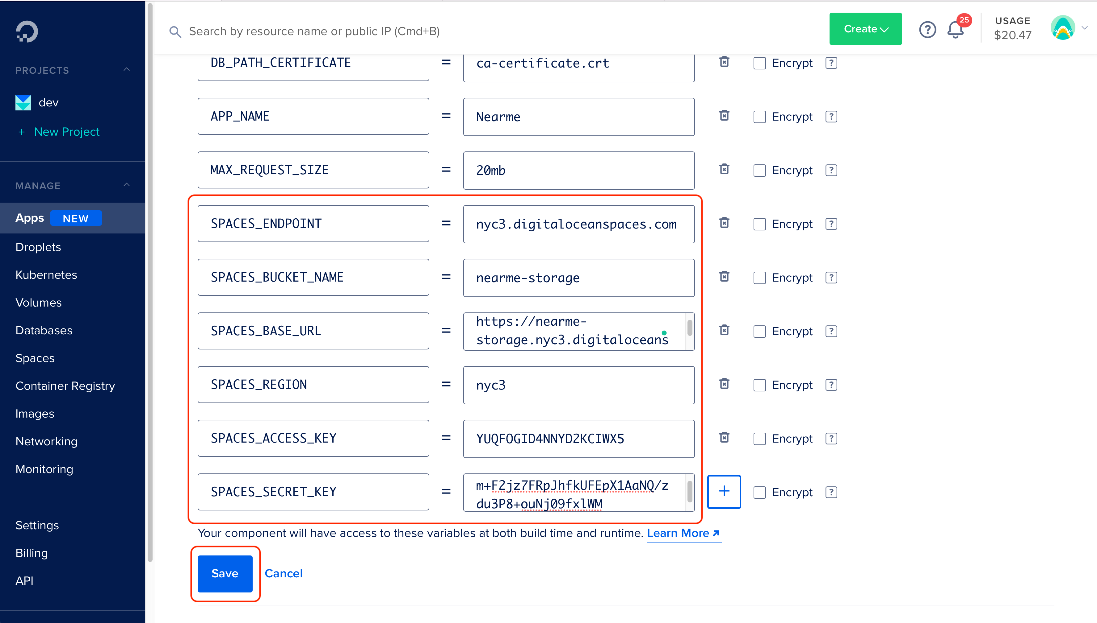 App Platform - Environment variables